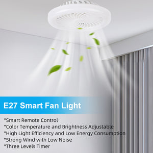 E27 Fan Lights